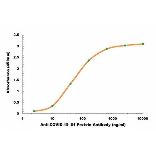 COVID-19 S1 Protein Human Cells Monoclonal Antibody(C2470)