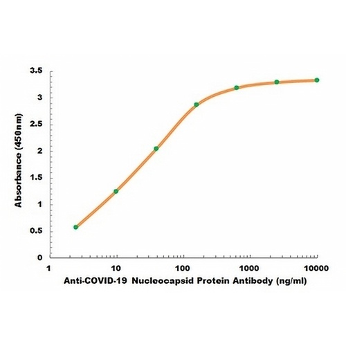 COVID-19 Nucleocapsid Protein Human Cells Monoclonal Antibody(C2471)