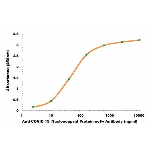 COVID-19 Nucleocapsid Protein scFv E.coli Monoclonal Antibody(C2472)
