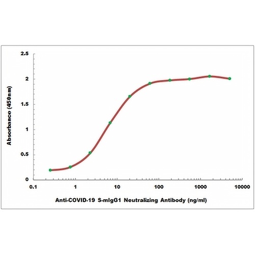 COVID-19 S-mIgG1 Neutralizing Mouse Monoclonal Antibody(C2476)