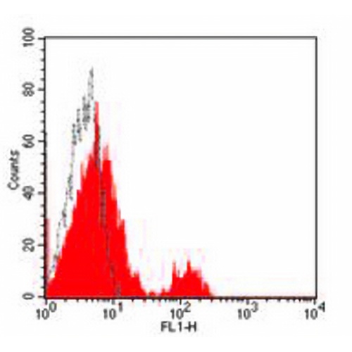 CD40 Mouse Monoclonal Antibody(3A8)