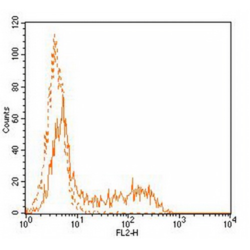 CD34 Mouse Monoclonal Antibody(4H11)