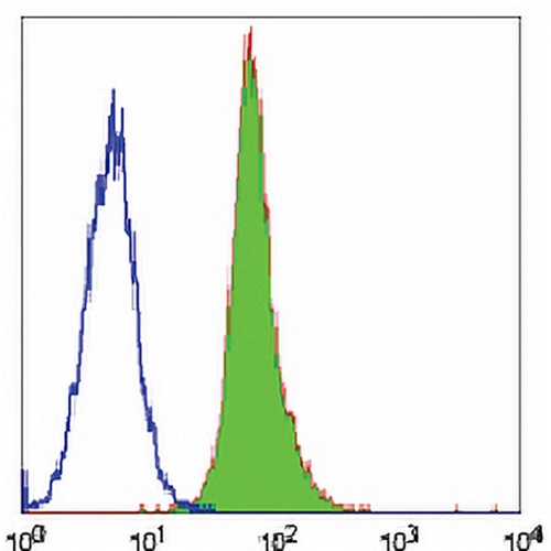 CD55 Mouse Monoclonal Antibody(67)