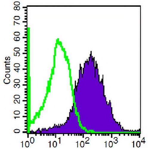 CD123 Mouse Monoclonal Antibody(6H6)