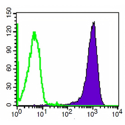 CD47 Mouse Monoclonal Antibody(CC2C6D4)