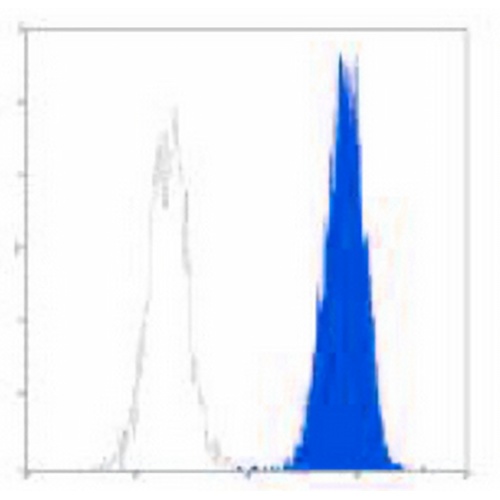 CD35 Mouse Monoclonal Antibody(E11)