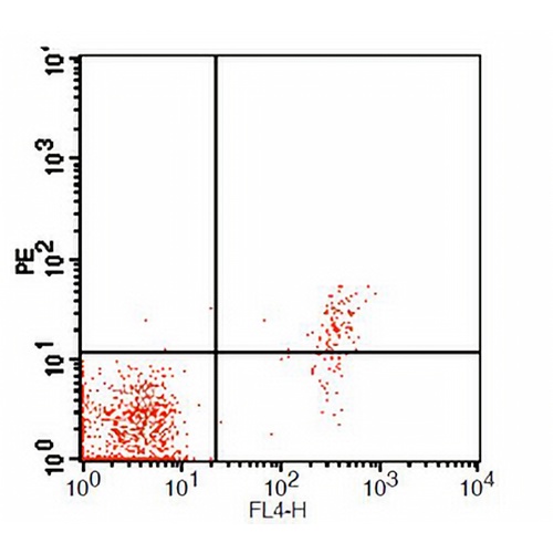 CD23 Mouse Monoclonal Antibody(EBVCS-5)