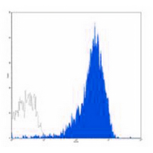 CD41a Mouse Monoclonal Antibody(HIP8)