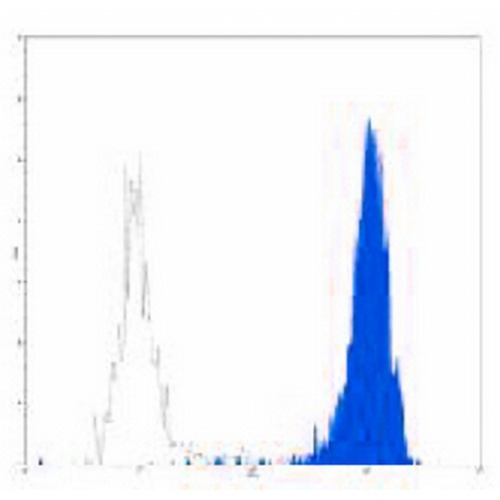 CD11b Rat Monoclonal Antibody(M1/70)