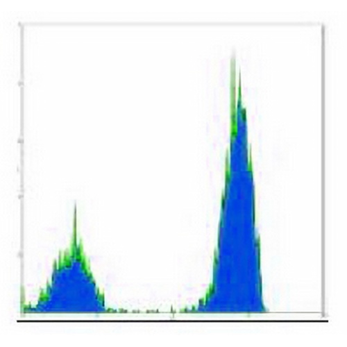CD3 Mouse Monoclonal Antibody(OKT3)