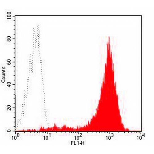 CD44 Mouse Monoclonal Antibody(P2A1)
