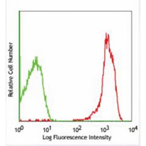 CD61 Mouse Monoclonal Antibody(PM6/13)