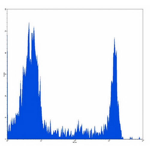 CD8 Mouse Monoclonal Antibody(Riv11)