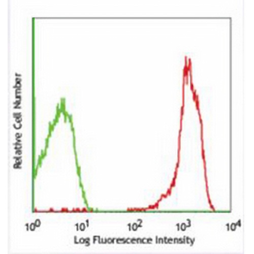 CD2 Mouse Monoclonal Antibody(RPA-2.10)