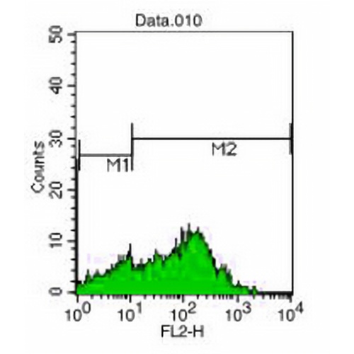 CD7 Mouse Monoclonal Antibody(T3-3A1)